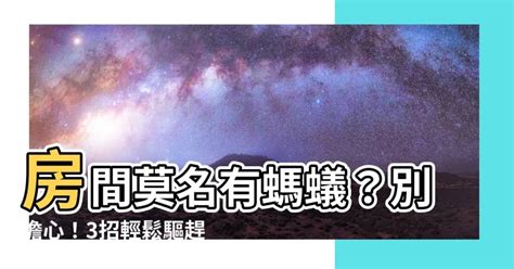 螞蟻入侵房間|家裡有螞蟻怎麼辦？專家告訴你5招如何消滅螞蟻大軍方法！一篇。